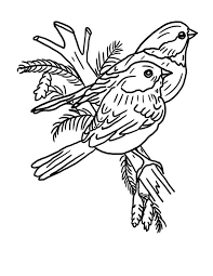 Bird outline template kinis rsd7 org. Couples Of Robin Bird Coloring Page Kids Play Color