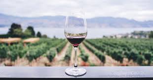 L'architettura del vino nell'era dell'enoturismo. A Firenze con ...