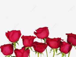 Ramo De Rosas Flores Dia De San Valentin Rosa Flor Rosa Png Imagen Para Descarga Gratuita Pngtree Ramo De Rosas Imagenes De Ramos Ramos De Flores