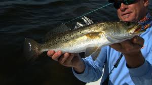 Speck Tacular Trout Fishing With Mirrodines Saltwater Fishing Salt Water Fishing Fish