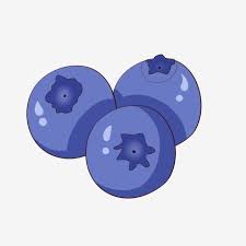 ภาพประกอบท คล ายก น การ ต น วาดด วยม อ ผลไม บล เบอร ร ผลไม แสนอร อย ผลไม ท ม ค ณค าทางโภชนาการ anthocyanin การ ต นบล เบอร ร การ ต น วาดด วย ม อ ผลไม ภา ผลไม การ ต น การ ต นเน ตเว ร ค