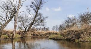 Pływakom kszo oglądali plecy… 17 kwietnia 201917 kwietnia 2019 dariusz kisiel 0 comment. B5mksd 5rsny M