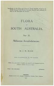 Image result for Swertia pleurogynoides