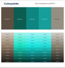 65+ Teal And Gray Color Palettes & Gradient Ideas | iColorPalette