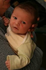 hey there Georgie boy