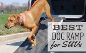 It includes a wood structure and top carpet. What Is The Best Dog Ramp For Suvs Caninejournal Com