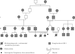 Check spelling or type a new query. Arbol Genealogico De La Familia Download Scientific Diagram