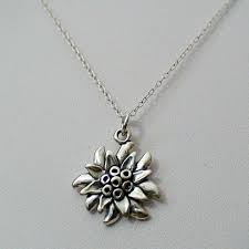 Pin On Alpine And Meadow Swiss Flowers