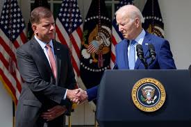 Image result for Bidens elliotii