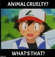 Animal Cruelty What S That Imgflip