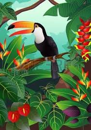 Toucan Bird Jungle Art Bird Art Birds Painting