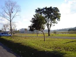 O parque é um dos maiores da cidade, sendo, também, um dos mais antigos, recebeu o nome do rio barigui que passa em seu interior e foi represado para formar um grande lago. Parque Barigui Geada 28 06 11 2 C Curitiba Pr Mapio Net
