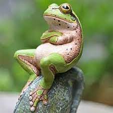 Find funny dog photos, silly dog cartoons, hilarious dogs, humorous pooches, fun puppies and dog images that will make you bol bark out loud. Funny Animals Acting Like Humans Steemit