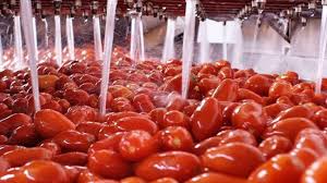 Risultati immagini per PASSATA DI POMODORO WARNING