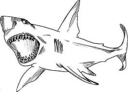 Megalodon coloring page megalodon shark coloring pages at getcolorings | free … credit: Pin On Megalodon