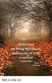 3.5k likes · 402 talking about this. Il The Trees Re Losing Their Leaves And Not One Of Them Is Worried Donald Miller Kelly S Treehouse Not A One Xo Meme On Sizzle