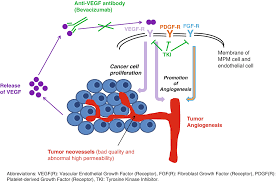 Maybe you would like to learn more about one of these? Targeting Angiogenesis In Malignant Pleural Mesothelioma Springerlink
