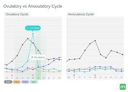 Image result for Anovulation