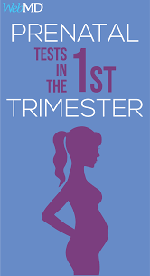 Prenatal Tests In The 1st Trimester Prenatal Appointment First Prenatal Appointment Prenatal Screening