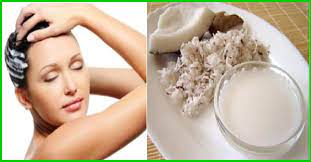 Take 3 to 4 tablespoons of coconut milk and add a tablespoon of castor oil to it. Coconut Milk For The Hair How To Prepare Use