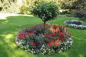 See more ideas about shade garden, garden, outdoor gardens. What Is A Ring Garden Learn About Shrub And Tree Island Beds