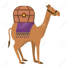  their unique body part is their hump(s). Mammal Camel Animal With Chest Vector Illustration Graphic Design Royalty Free Cliparts Vectors And Stock Illustration Image 127421111