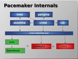 Vertical signals that represent the electrical activity of the pacemaker. 1 3 Pacemaker Architecture