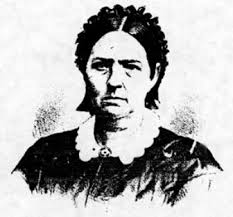 1879 Evert's History of Cattaraugus