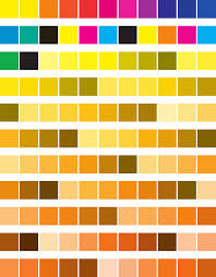 pantone solid coated chart free download