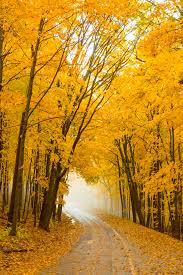 Check spelling or type a new query. View Wisconsin S Fall Colors At These Five Overlooks