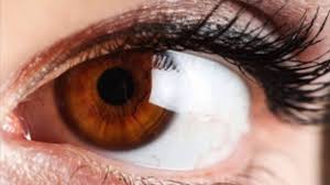 Brown Eye Color And Its Best Things To Know