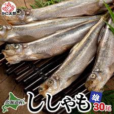北海道 本 ししゃも