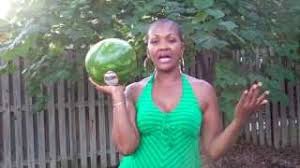 This usually means that it's full of water. How To Pick A Sweet And Juicy Watermelon Every Time Youtube