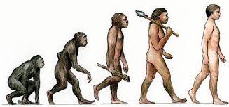 We did not find results for: Manusia Dan Sejarah Donisaurus