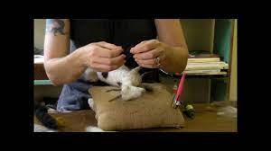 Needle Felting Tutorial Sarafina Fiber Art Goat Series 8 Finishing Th Needle Felting Tutorial Needle Felting Needle Felted Animals