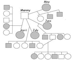 In a pedigree, a square represents a male. Rat Pedigree Practice With Key