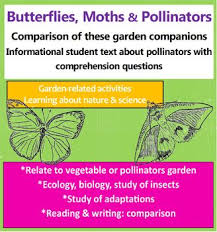 Butterflies Moths And Pollinators Pollination Informational Writing Teaching Ecology