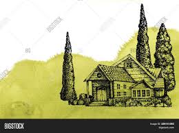 The direction to draw a tree might seem more at home in a kindergarten art class than a psychologist's office; House Trees Village Image Photo Free Trial Bigstock