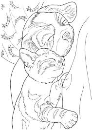 Coloriage des pokemons qui se trouve dans la liste 6e génération à imprimer et colorier pour les enfants. Dogcoloring Coloriage Coloriage Animaux Dessin Coloriage