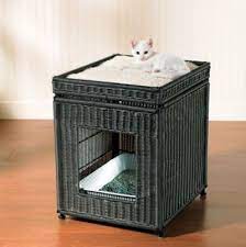Pin On Pets