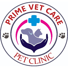 Wellness, vaccinations, surgery, dentistry, boarding Prime Vet Care Pet Clinic Pet Shop Order Online