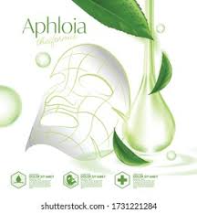 Image result for Aphloia theiformis