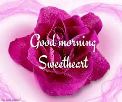 Download nice beautiful good morning flowers and share it on whatsapp, facebook, instagram with your friends and loved ones. 111 Good Morning Wishes For Sweetheart Best Images