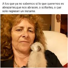 FOTOS SoA Algo de lo que nos dejó el "Gran dia mundial de observación de  aves". 14/05/2022