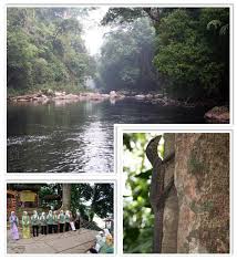Lead by our professional tour guide to jungle trekking, visit canopy walkway, boat ride to thrilling rapid shooting. Taman Negara National Park Wonderful Malaysia