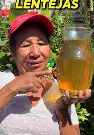 Cómo hacer abono de lentejas para tus plantas