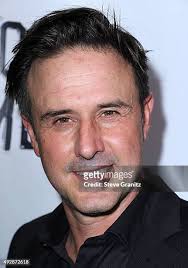 3,502 Steve Arthur Photos & High Res Pictures