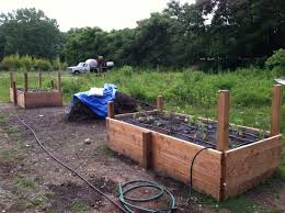 Don't let it stop you! A Beginner S Guide To Building Raised Beds For A Home Garden Edible Long Island