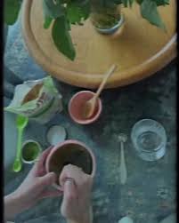 HOW TO: make matcha. It's *really* this... - Alfred Tea Room Melrose Place