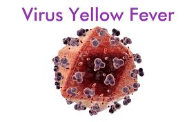 Maybe you would like to learn more about one of these? Yellow Fever Demam Kuning Indonesian Medical Laboratory